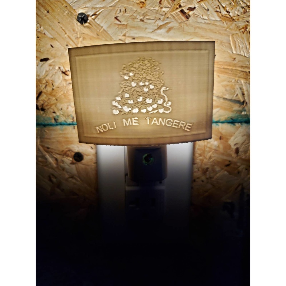 Custom 3D Print Lithophane Nightlight NOLI ME TANGERE AL Succession Flag
